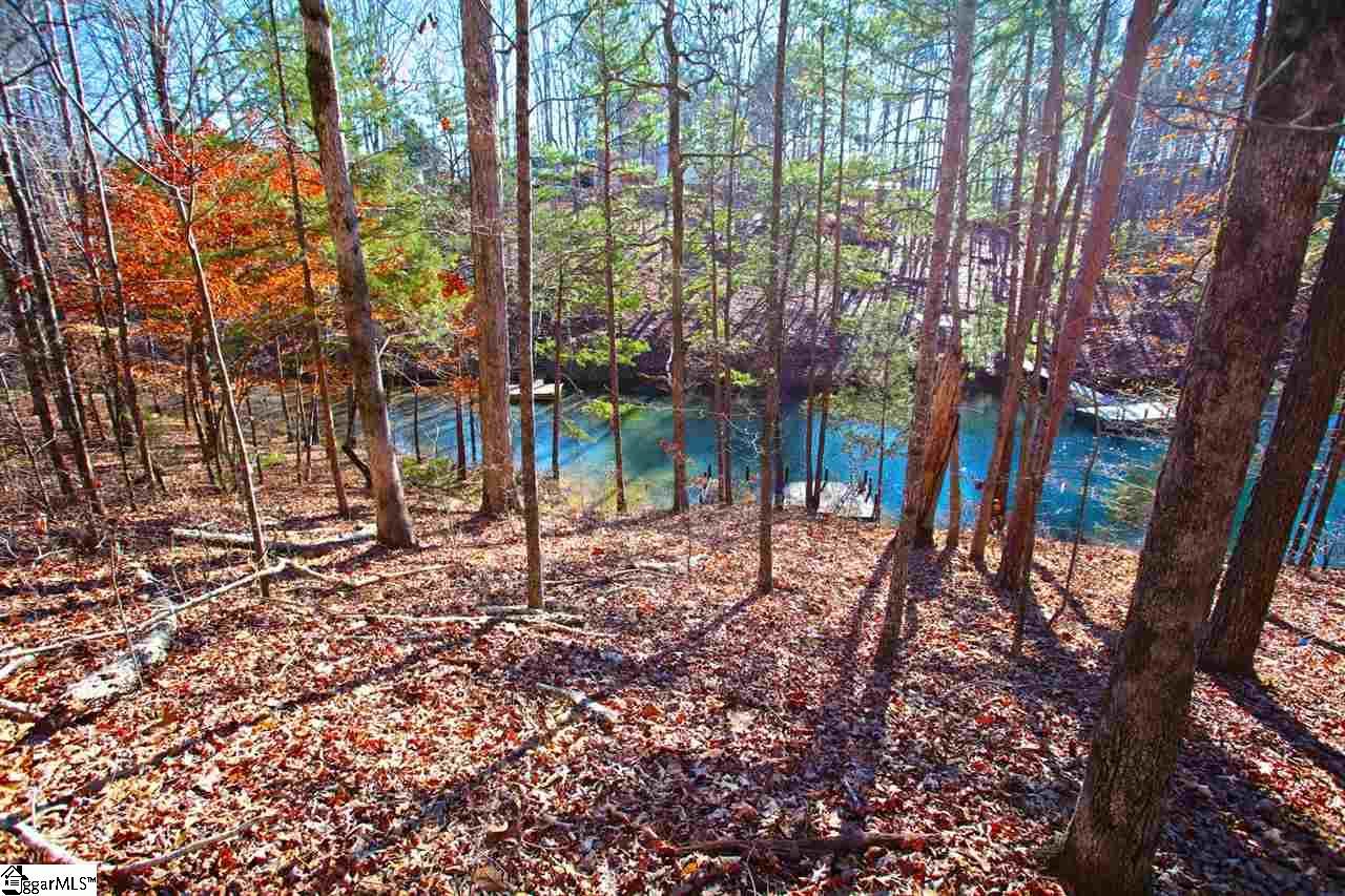 4 Views Court Seneca, SC 29672 - Photo 21 of 35