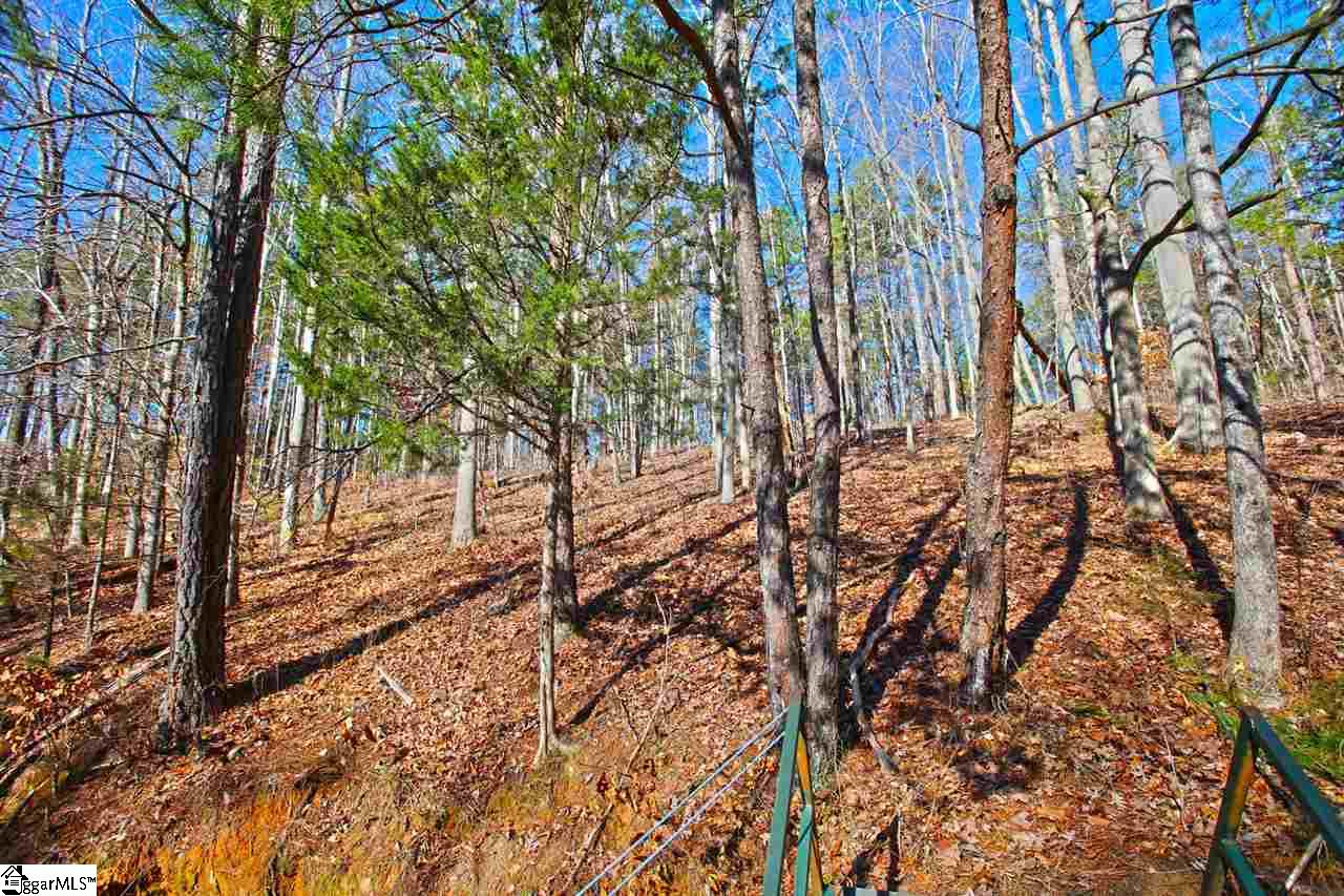 4 Views Court Seneca, SC 29672 - Photo 25 of 35