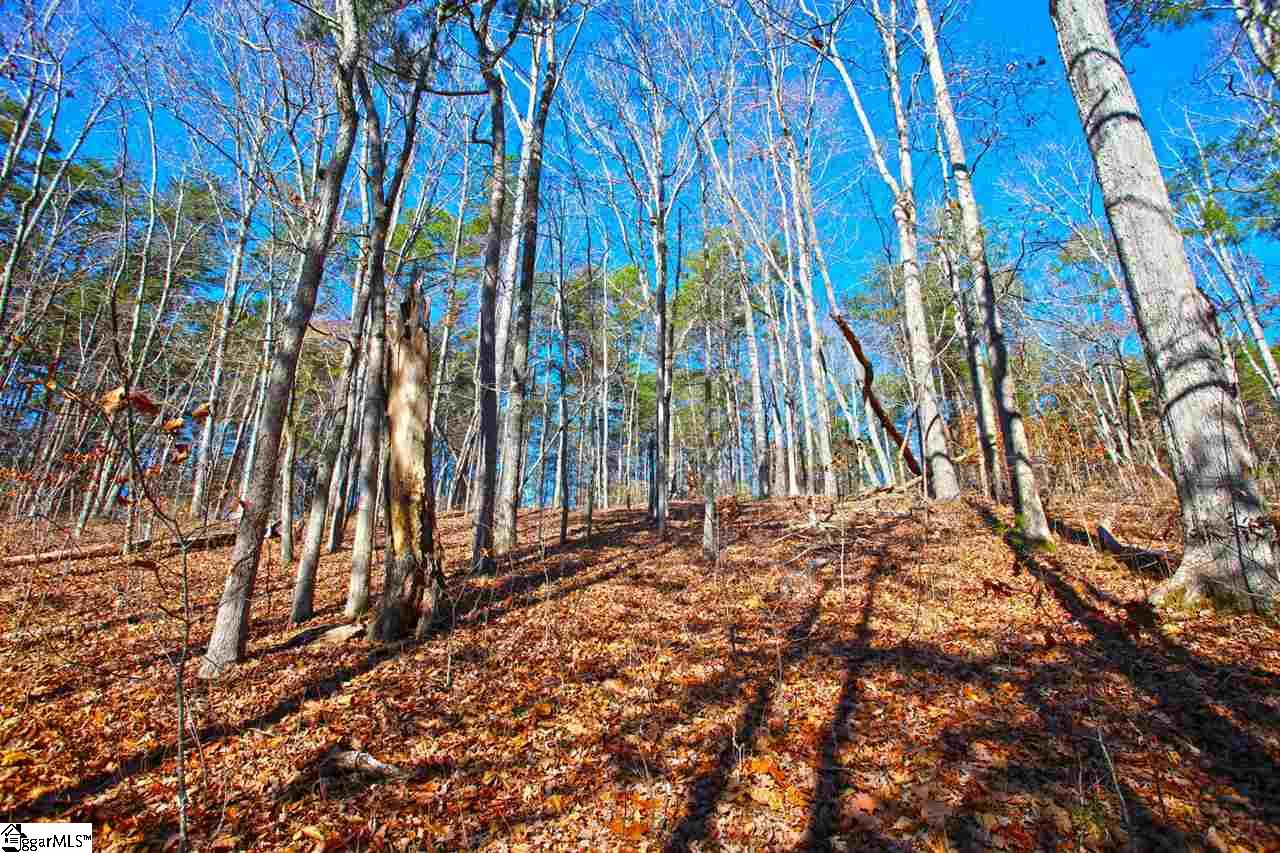 4 Views Court Seneca, SC 29672 - Photo 27 of 35