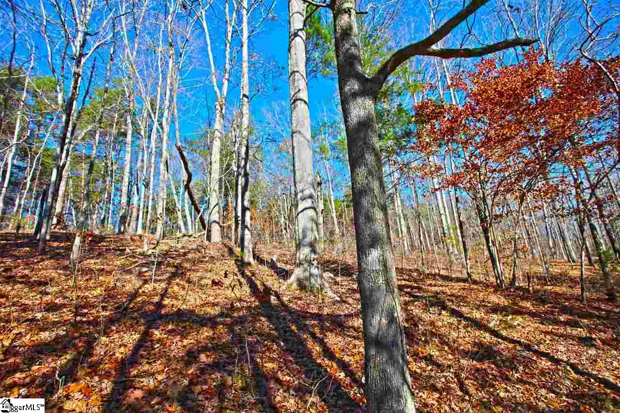 4 Views Court Seneca, SC 29672 - Photo 28 of 35