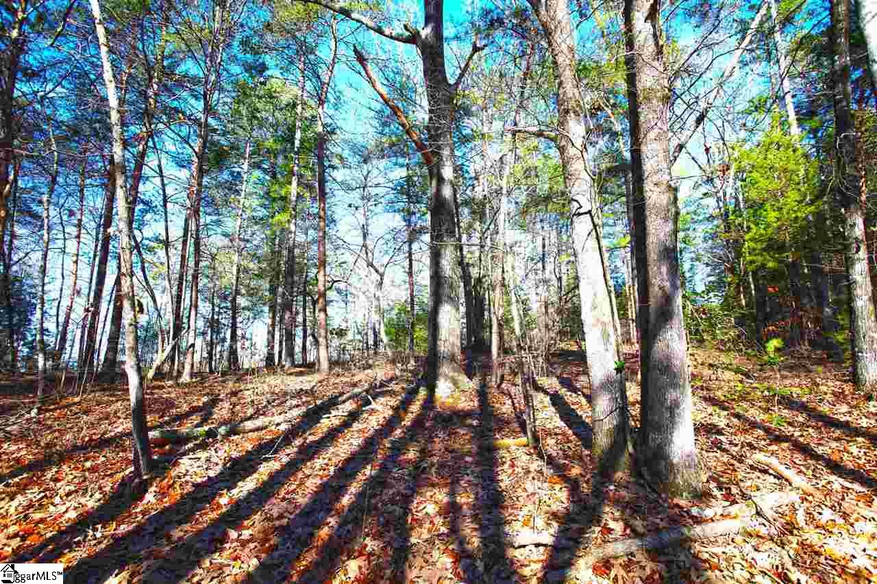 4 Views Court Seneca, SC 29672 - Photo 31 of 35