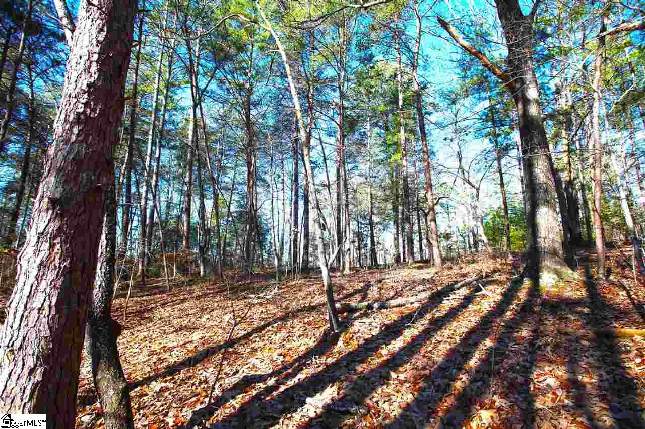 4 Views Court Seneca, SC 29672 - Photo 32 of 35