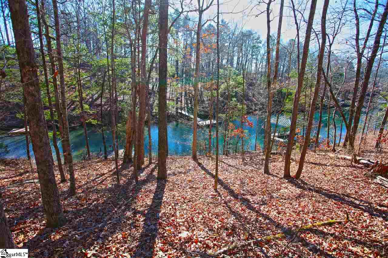 4 Views Court Seneca, SC 29672 - Photo 5 of 35