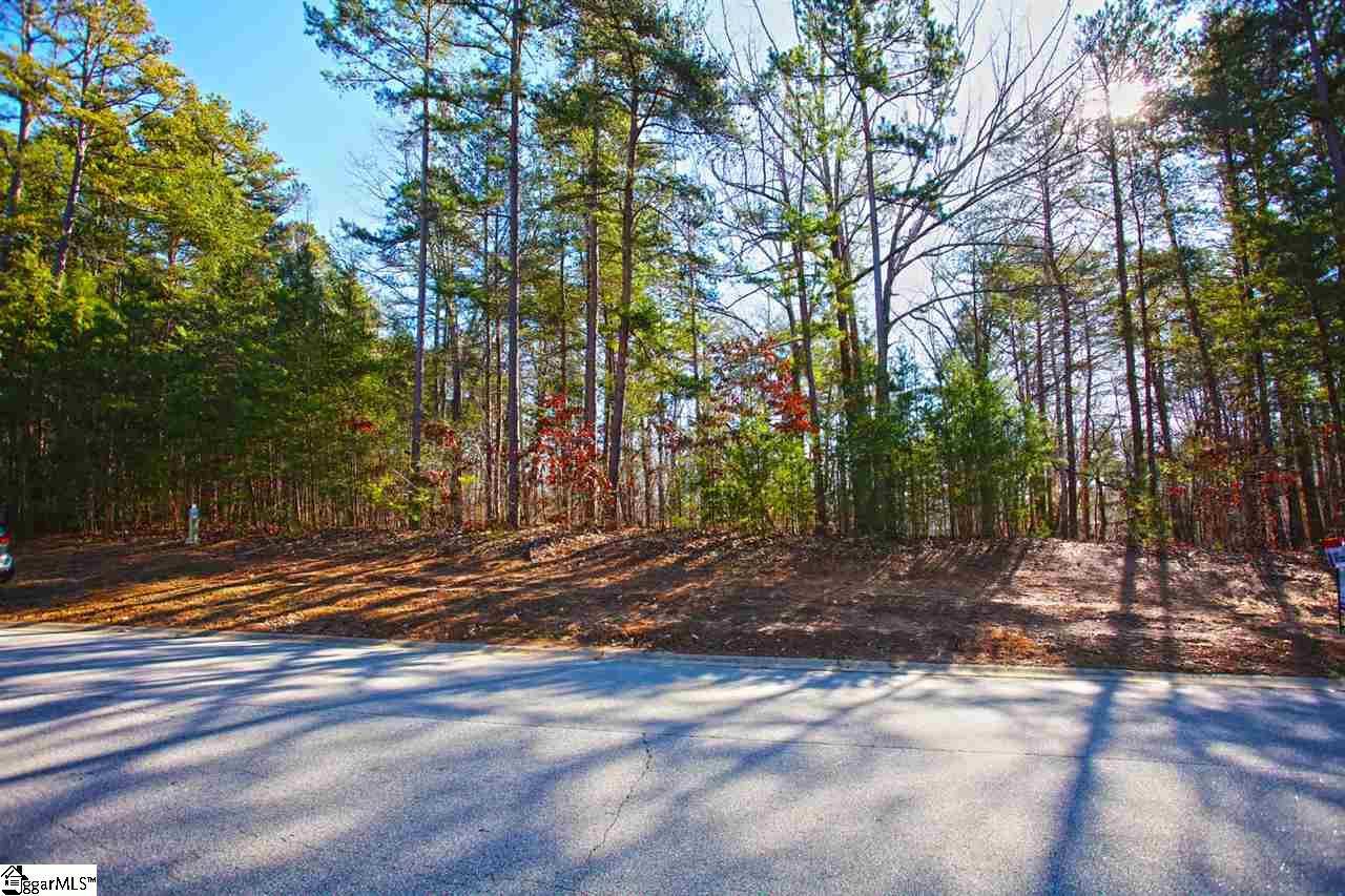 4 Views Court Seneca, SC 29672 - Photo 8 of 35
