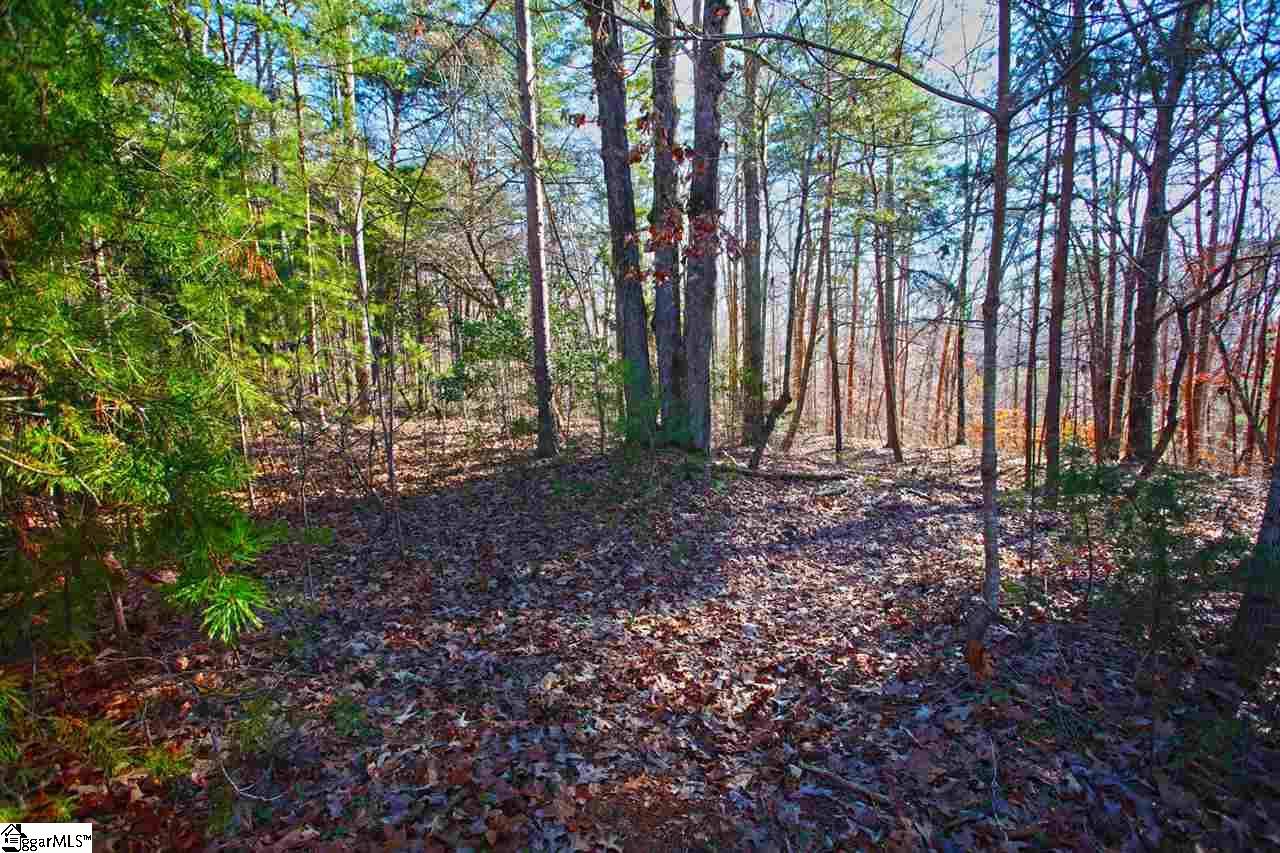 4 Views Court Seneca, SC 29672 - Photo 10 of 35