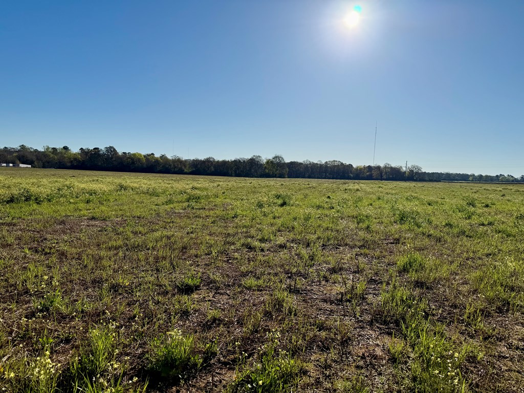 3.42-acres Omussee Road Cowarts, AL 36321 - Photo 11 of 13