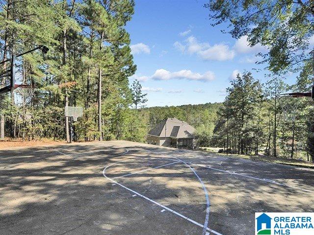 3601 Timber Oak Circle Helena, AL 35022 - Photo 39 of 43