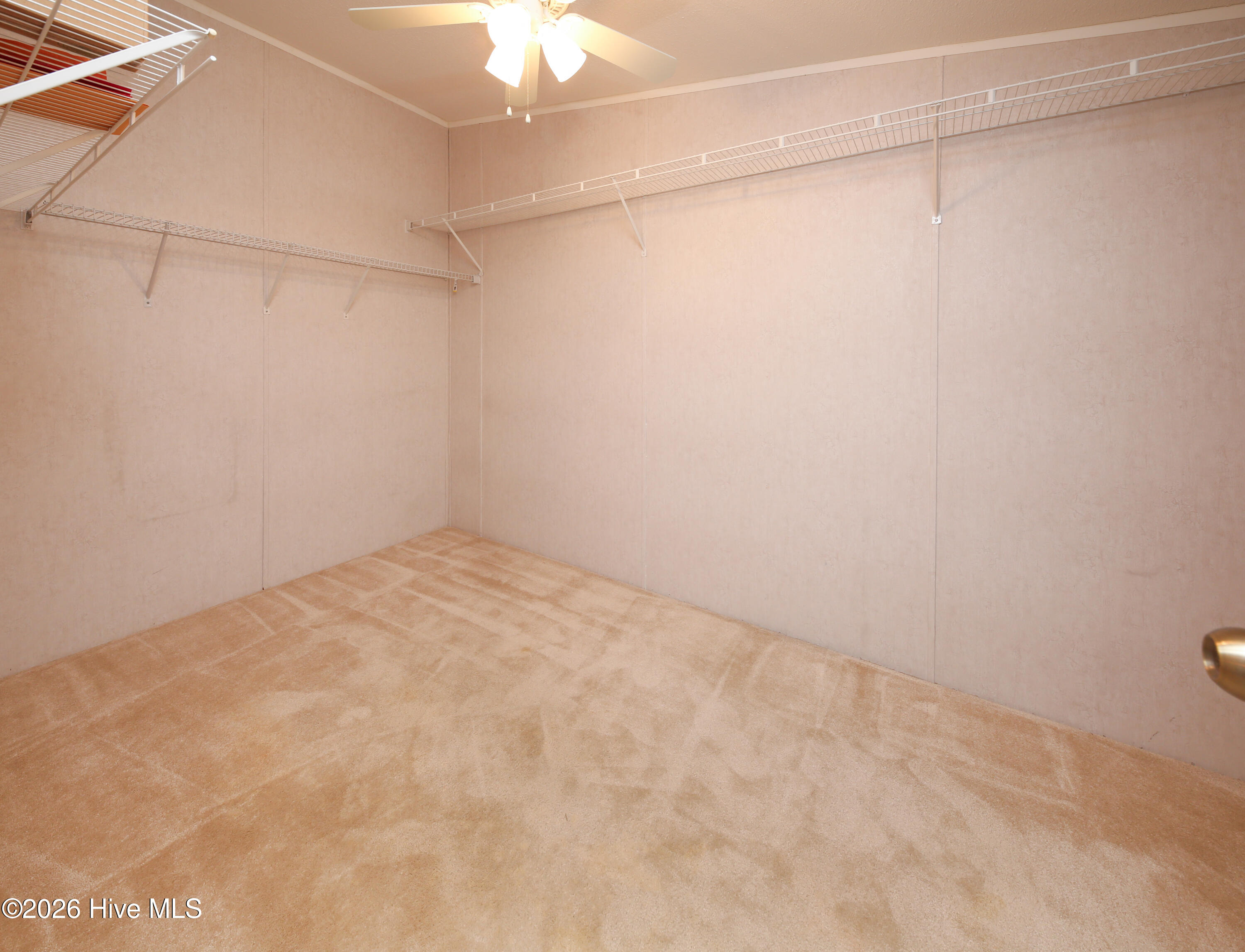 19 Kelly Street Gates, NC 27937 - Photo 23 of 44 4G8A5057