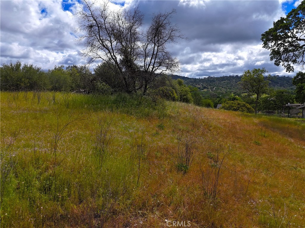 -2098 Dome Coarsegold, CA 93614 - Photo 1 of 20