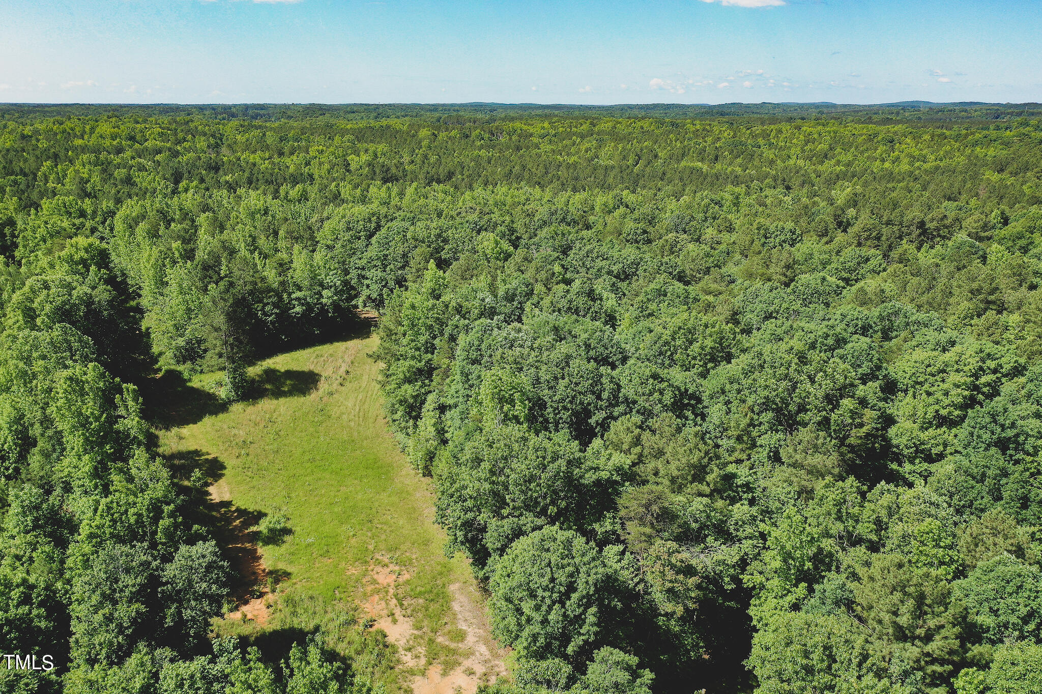 111-acres Hobgood Road Rougemont, NC 27572 - Photo 37 of 65 37
