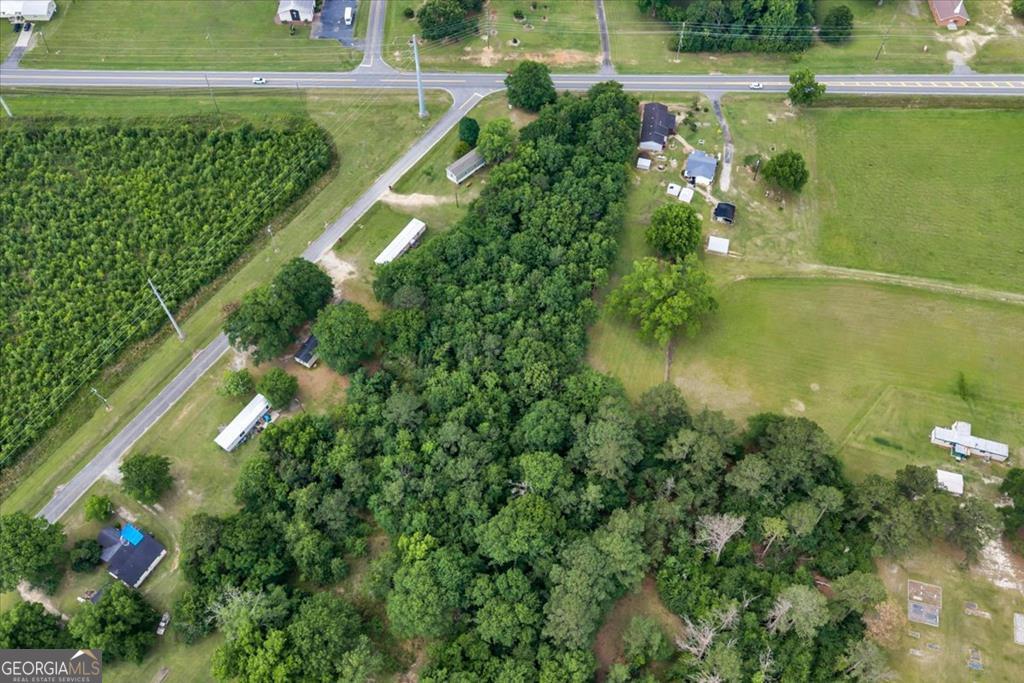 1295 Blackshear Ferry Road Dudley, GA 31022 - Photo 7 of 16