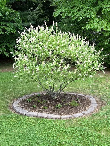 $385,000 | 535 Darby Drive, Belmont, NH 03246