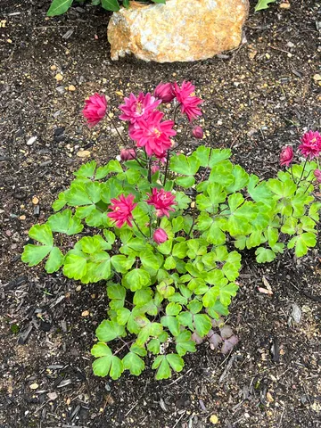 $385,000 | 535 Darby Drive, Belmont, NH 03246