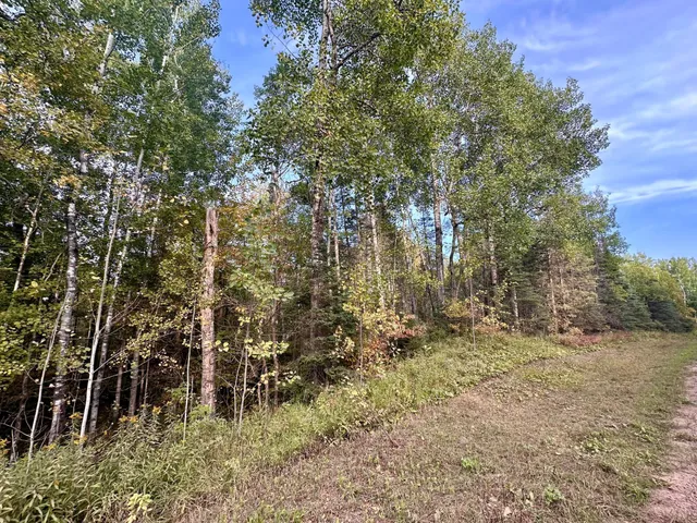 $59,000 | Tbd Old Vermilion Trail, Duluth, MN 55803