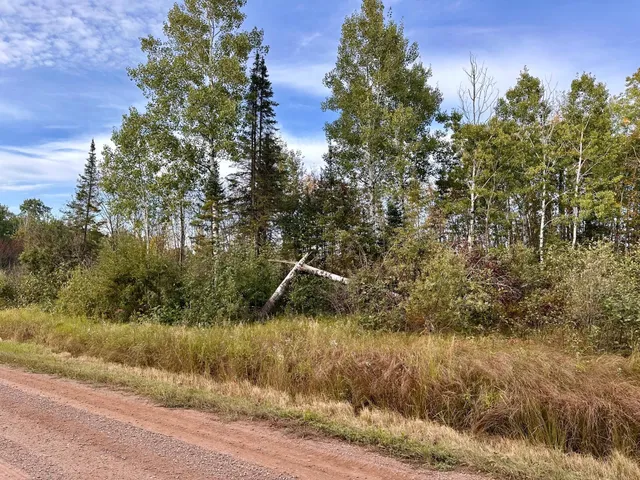 $59,000 | Tbd Old Vermilion Trail, Duluth, MN 55803