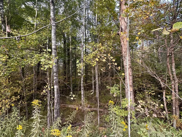 $59,000 | Tbd Old Vermilion Trail, Duluth, MN 55803