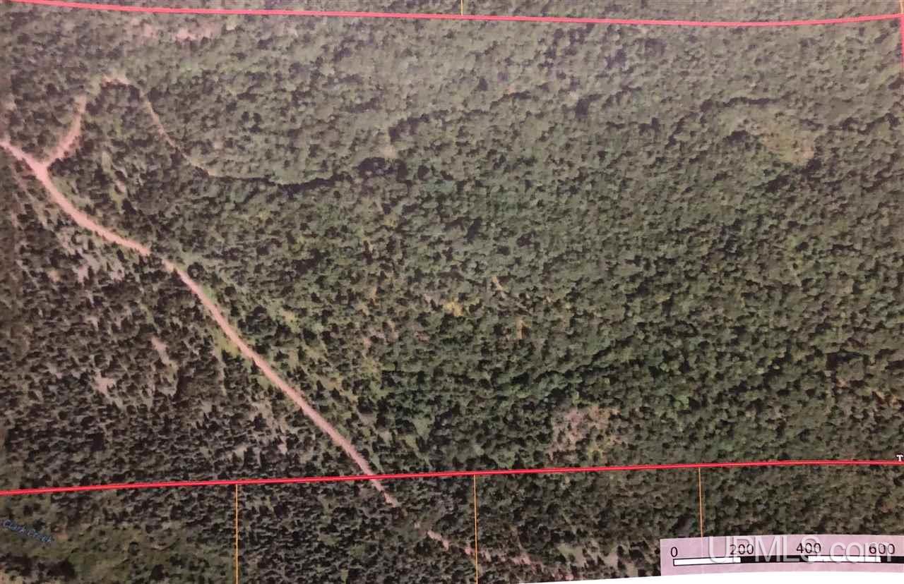 Tbd Tbd Off The Boise Route Road Negaunee, MI 49866 - Photo 42 of 45