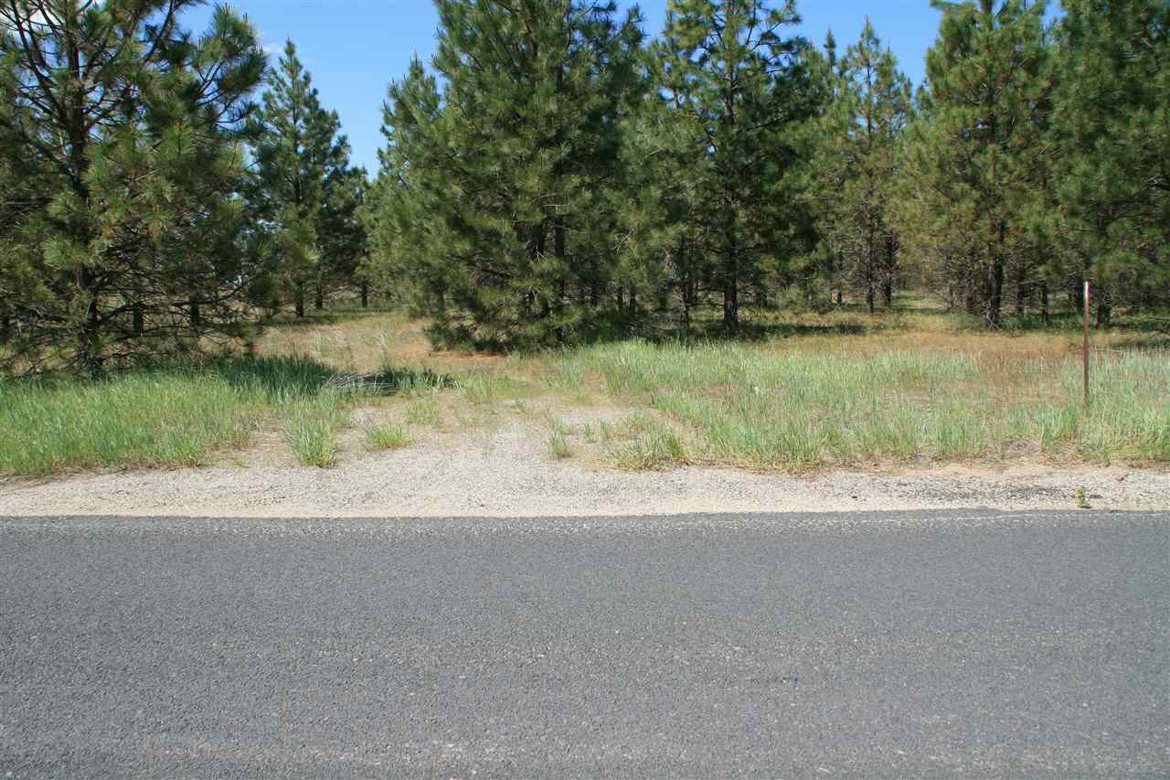 Lot 10 North Bruce Road Chattaroy, WA 99003 - Photo 4 of 8