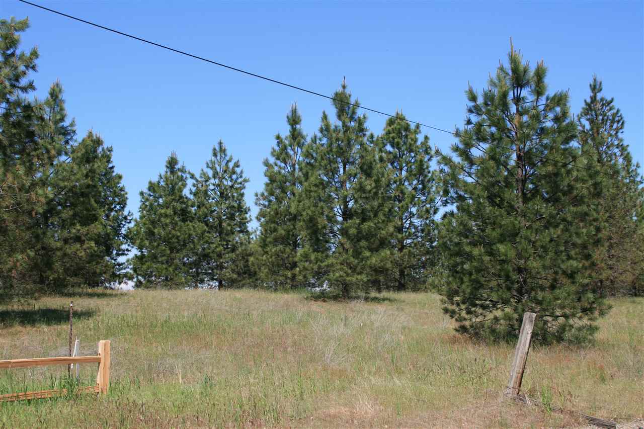 Lot 10 North Bruce Road Chattaroy, WA 99003 - Photo 5 of 8