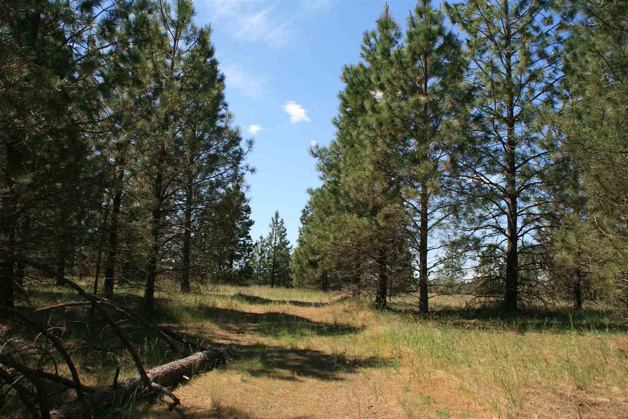 Lot 10 North Bruce Road Chattaroy, WA 99003 - Photo 6 of 8