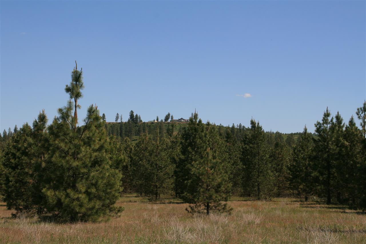 Lot 10 North Bruce Road Chattaroy, WA 99003 - Photo 7 of 8
