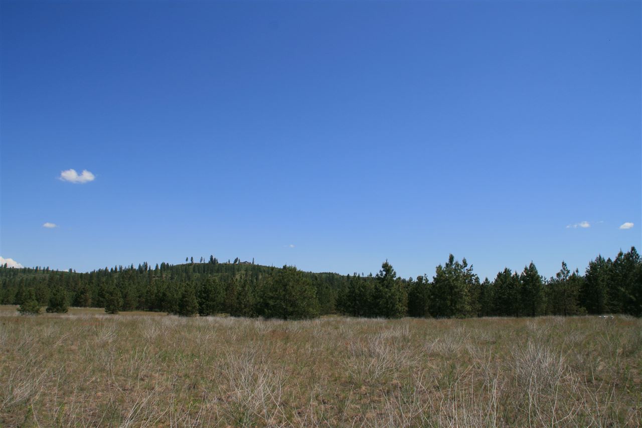 Lot 10 North Bruce Road Chattaroy, WA 99003 - Photo 8 of 8