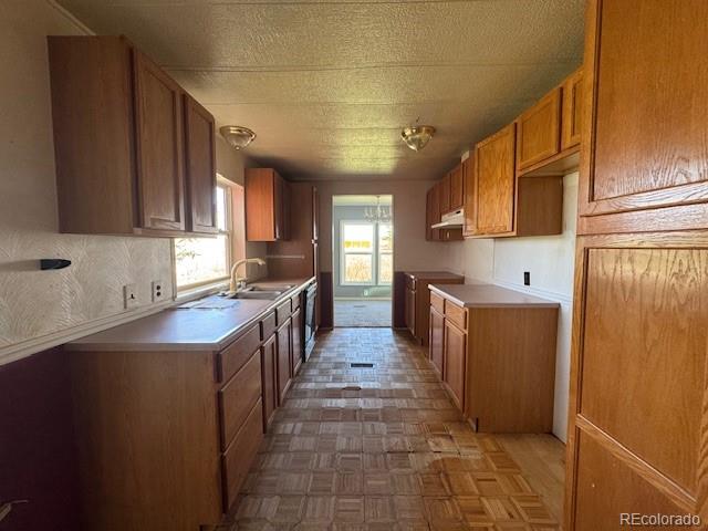 7961 County Road 2A Rush, CO 80833 - Photo 6 of 17