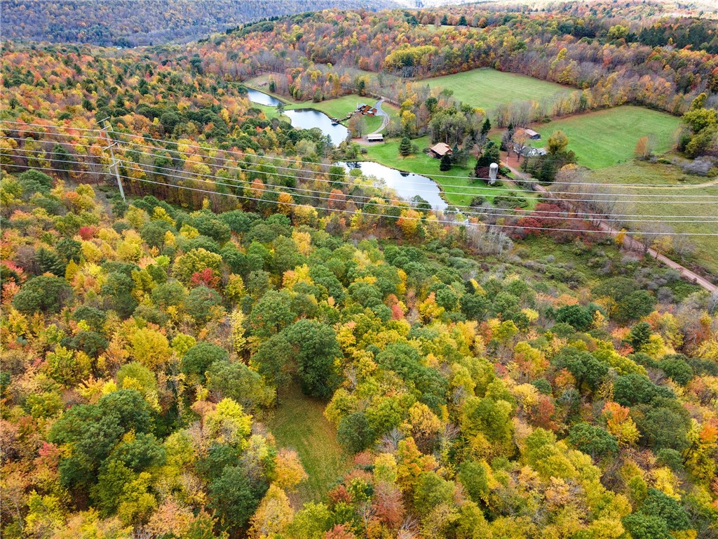 734 Post Road Franklin, NY 13775 - Photo 6 of 14