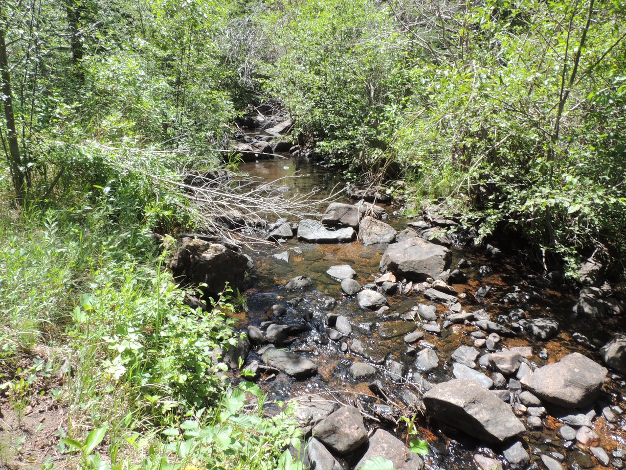 2300 Red Ashby Road Livermore, CO 80536 - Photo 4 of 32 Year around Trail Creek, at low level this summer