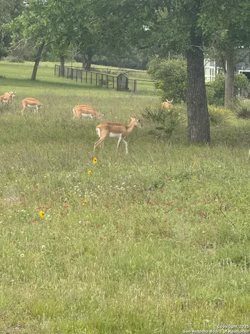 a view of a swimming pool with an outdoor space