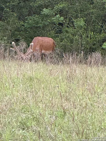 $649,000 | 494 Flash Circle, Luling, TX 78648
