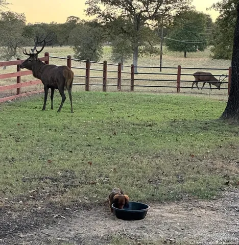 $649,000 | 494 Flash Circle, Luling, TX 78648