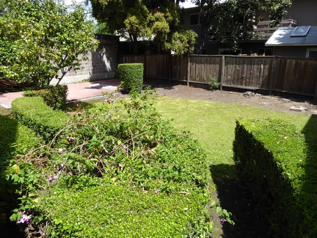 a view of a backyard with wooden fence