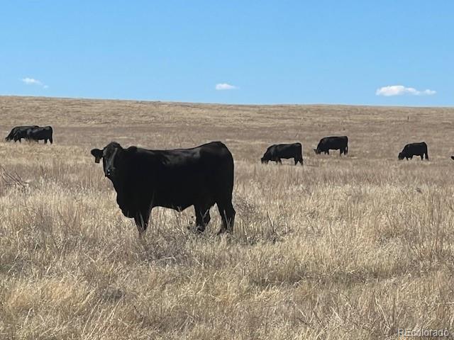 194 Tbd County Road Elizabeth, CO 80107 - Photo 1 of 14 Gallery Image 1