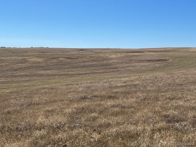 194 Tbd County Road Elizabeth, CO 80107 - Photo 10 of 14 Gallery Image 10