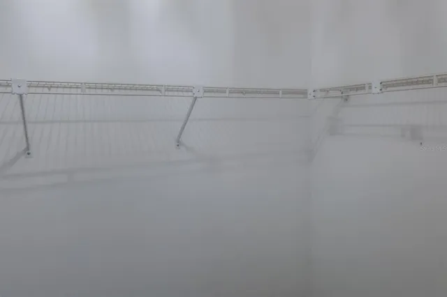 a view of a house with backyard and tree