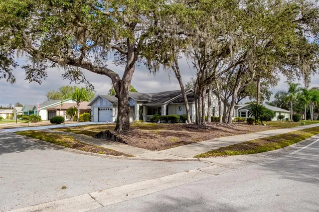 a view of a house with street that has a large tree