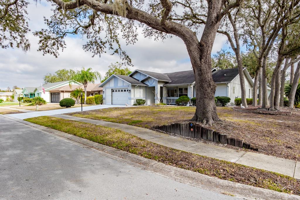 4814 Prince George Circle New Port Richey, FL 34655 - Photo 5 of 75