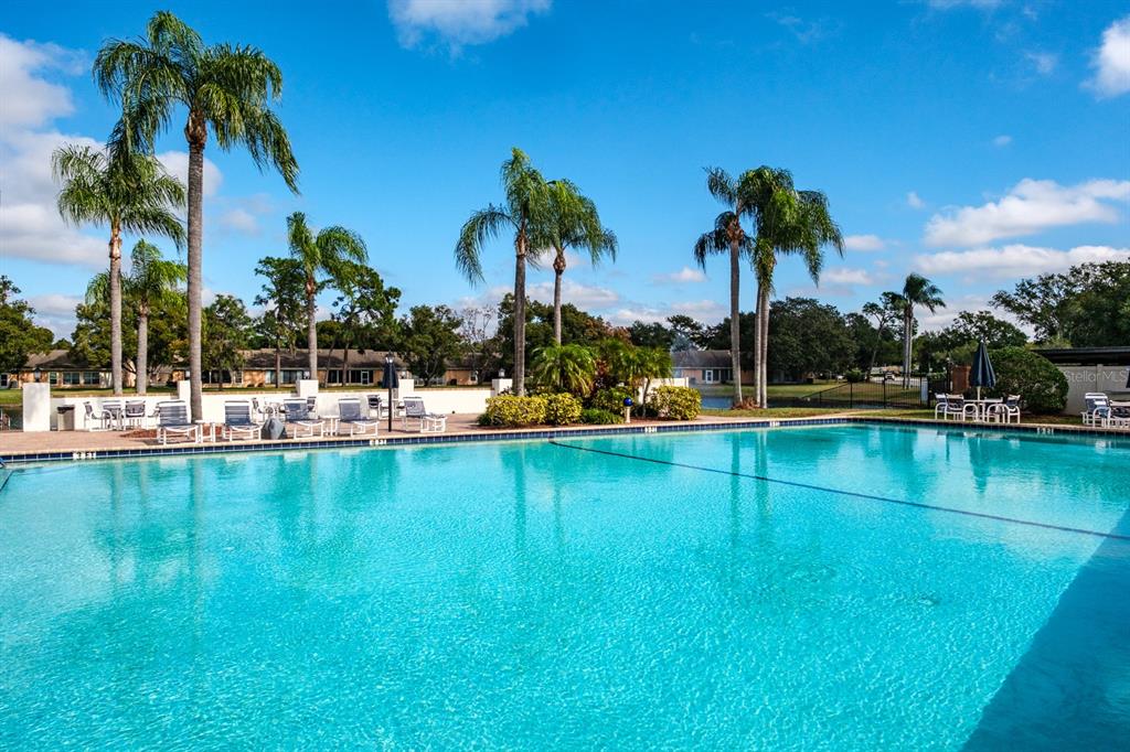 4814 Prince George Circle New Port Richey, FL 34655 - Photo 58 of 75