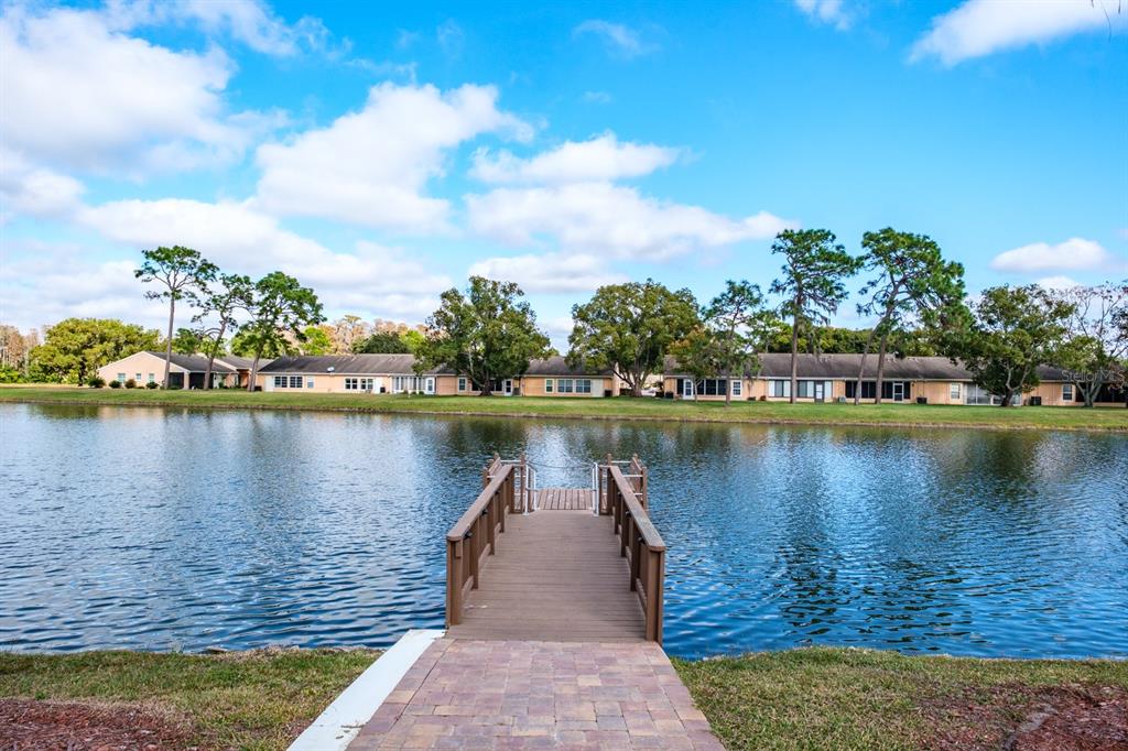 4814 Prince George Circle New Port Richey, FL 34655 - Photo 64 of 75