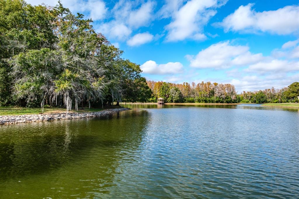 4814 Prince George Circle New Port Richey, FL 34655 - Photo 67 of 75 a view of lake