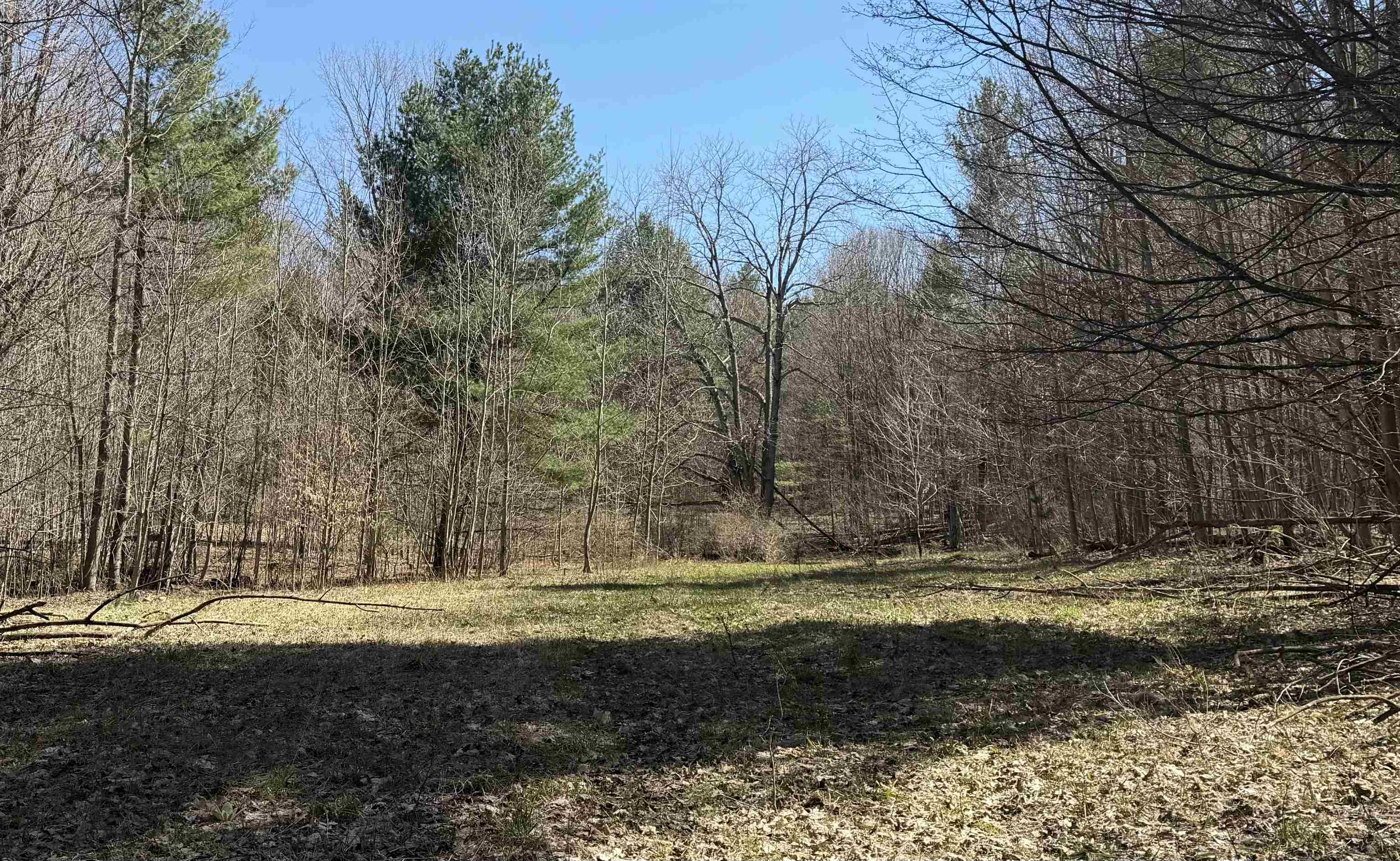 Parcel D Orchard Hill Road Bellaire, MI 49615 - Photo 17 of 18