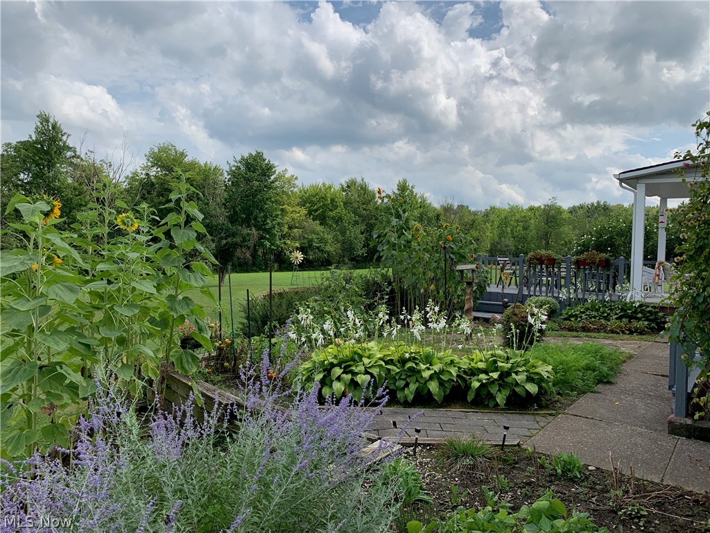 478 State Road Geneva, OH 44041 - Photo 7 of 30 Gallery Image 7