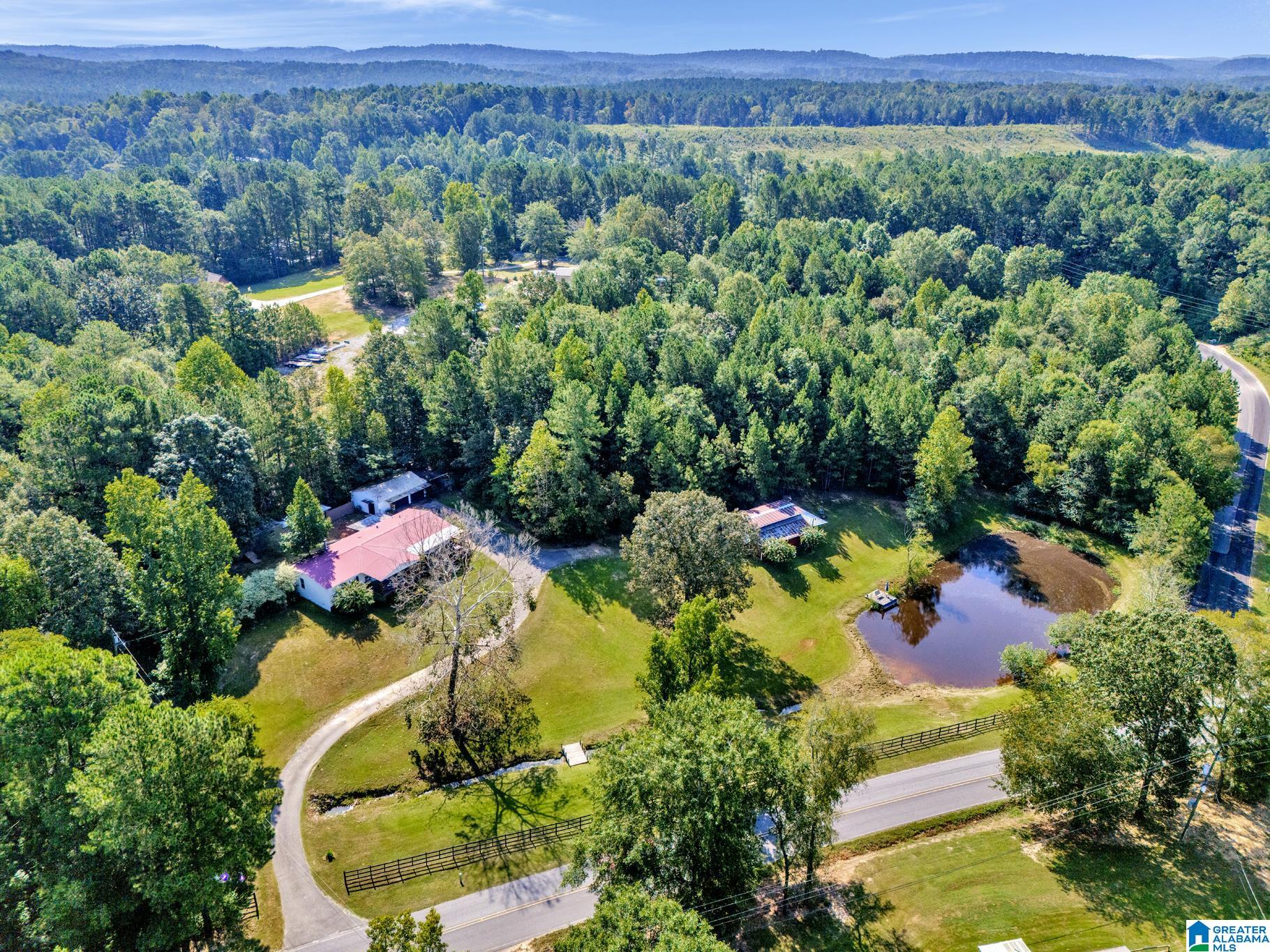 1120 Mt Moriah Road Pell City, AL 35125 - Photo 46 of 49