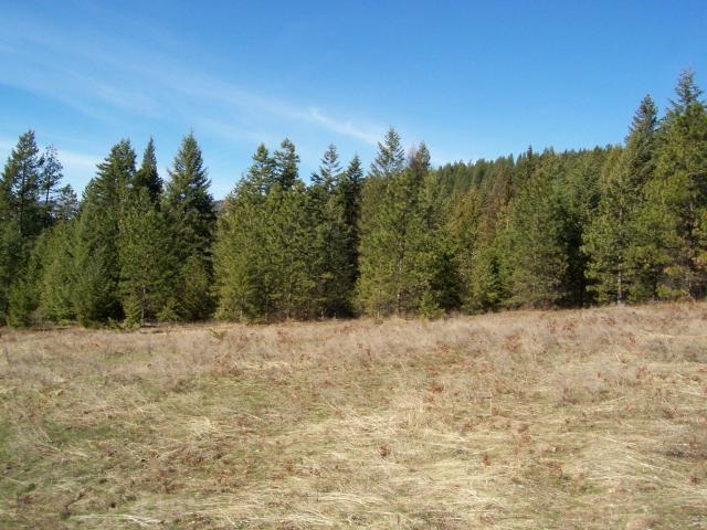 116 Anderson Road Kettle Falls, WA 99141 - Photo 1 of 11 Gallery Image 1