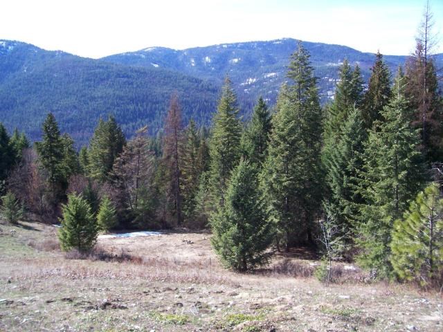 116 Anderson Road Kettle Falls, WA 99141 - Photo 2 of 11 Gallery Image 2