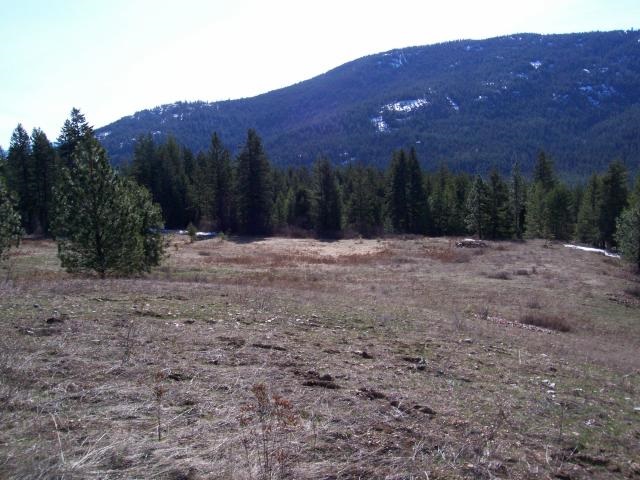 116 Anderson Road Kettle Falls, WA 99141 - Photo 3 of 11 Gallery Image 3