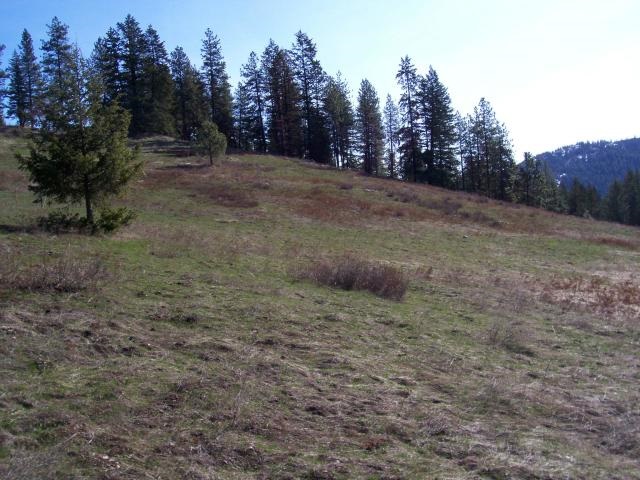 116 Anderson Road Kettle Falls, WA 99141 - Photo 4 of 11 Gallery Image 4