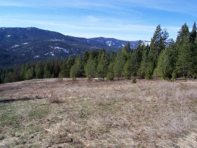 116 Anderson Road Kettle Falls, WA 99141 - Photo 6 of 11 Gallery Image 6