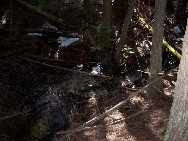 116 Anderson Road Kettle Falls, WA 99141 - Photo 10 of 11 Gallery Image 10